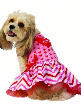 Rubie's Pink and Red Heart Chevron Dog Dress